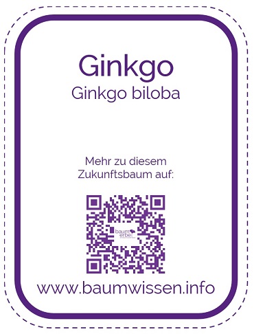 2024 03 18 Schild mit QR Code Zukunftsbaum Verweis auf www.baumwissen.info 370