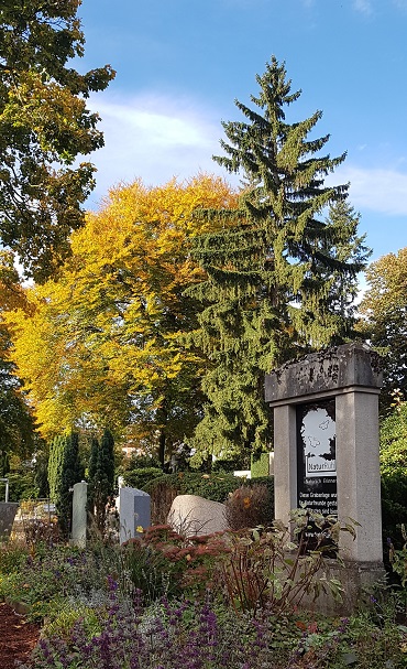 20211025 133924 mod 370