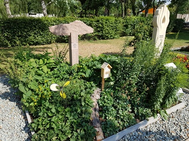 2018.07.05 163612 LAGA Burg 2018 Bienengarten Halbschatten gelb 370