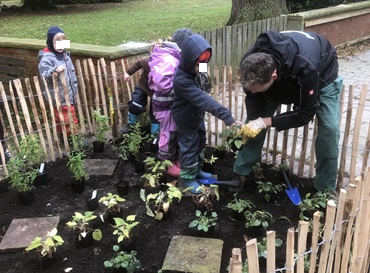 Bienengarten Pflanzen2 370