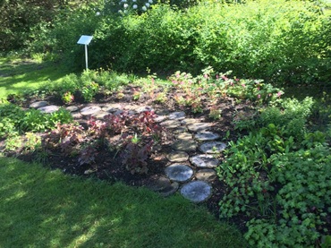 IMG 20190512 WA0011 370